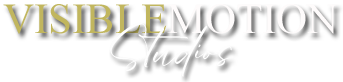 Visible Motion Logo