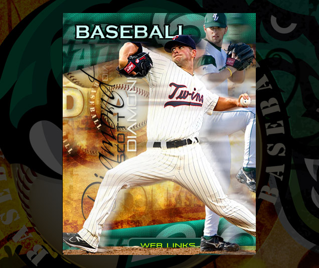 Visible Motion Work, Baseball